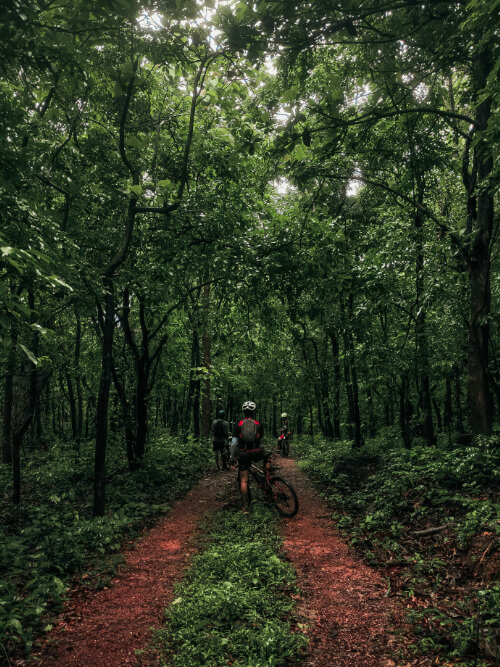 Randovélo Senones Randovélo Senones
