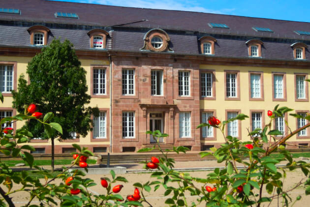 Château des Princes de Salm Senones